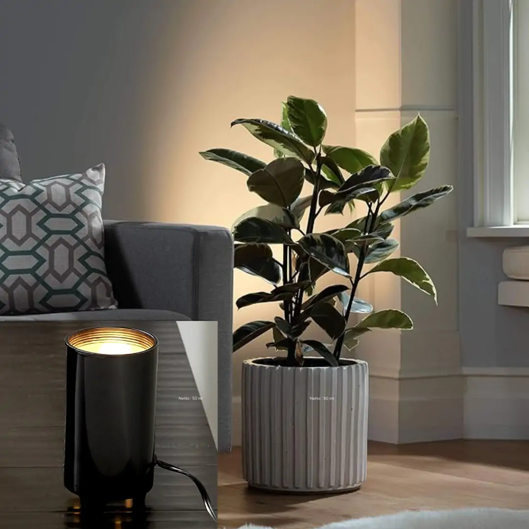 decorative spot light for large room