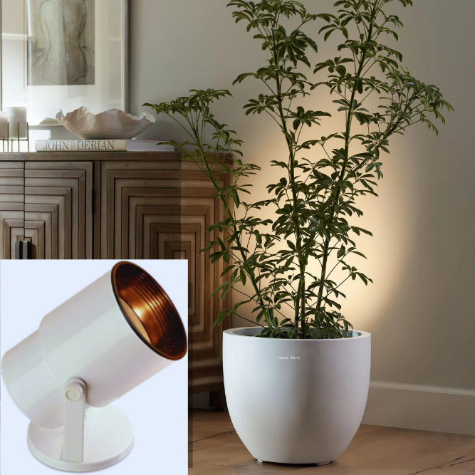 Living Room Decorative Spotlight