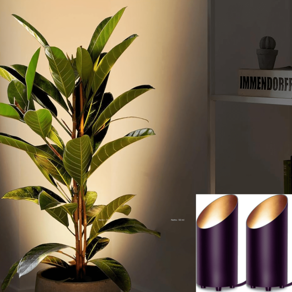 Living Room Decorative Spotlight