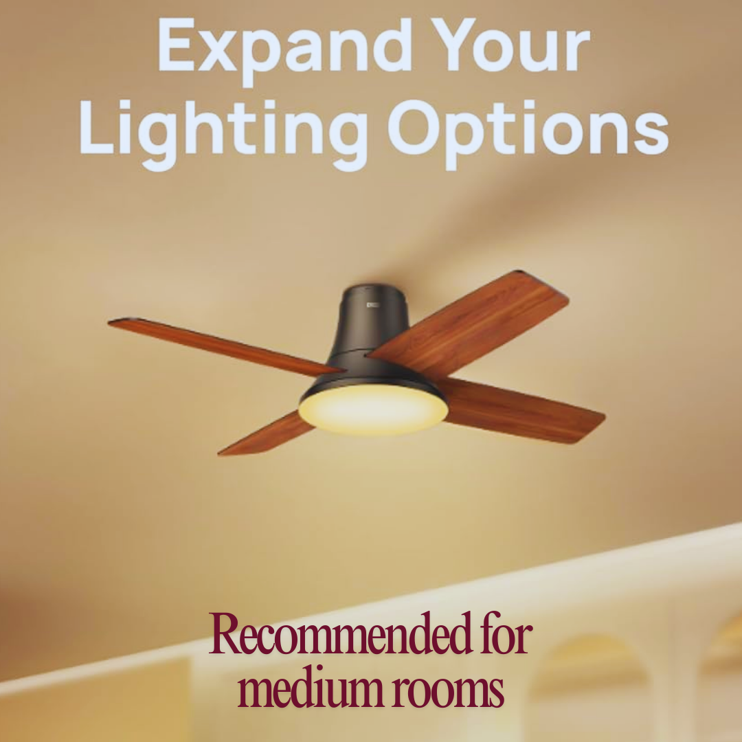 Ceiling Fans with Lights