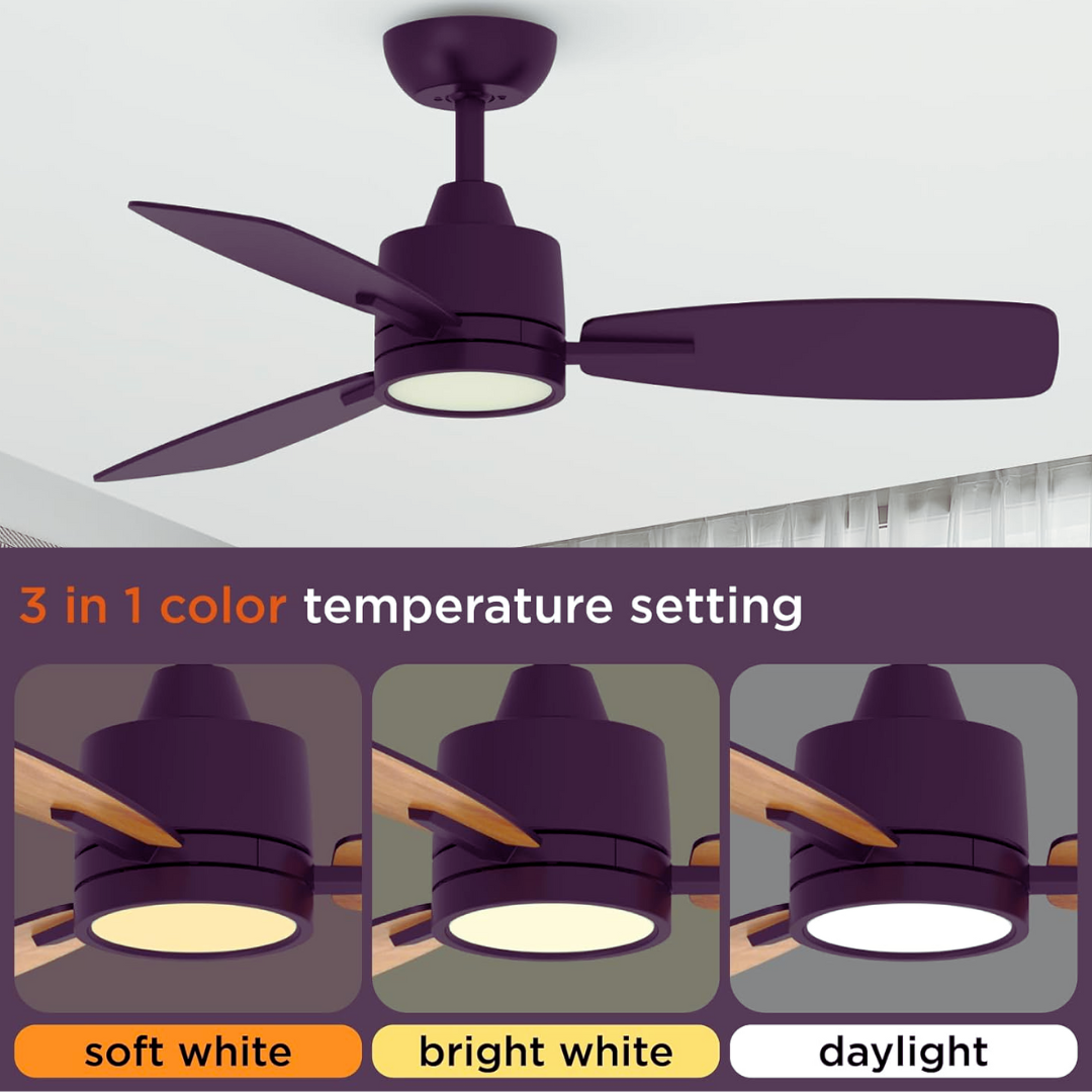 Remote Controlled Ceiling Fans with Lights