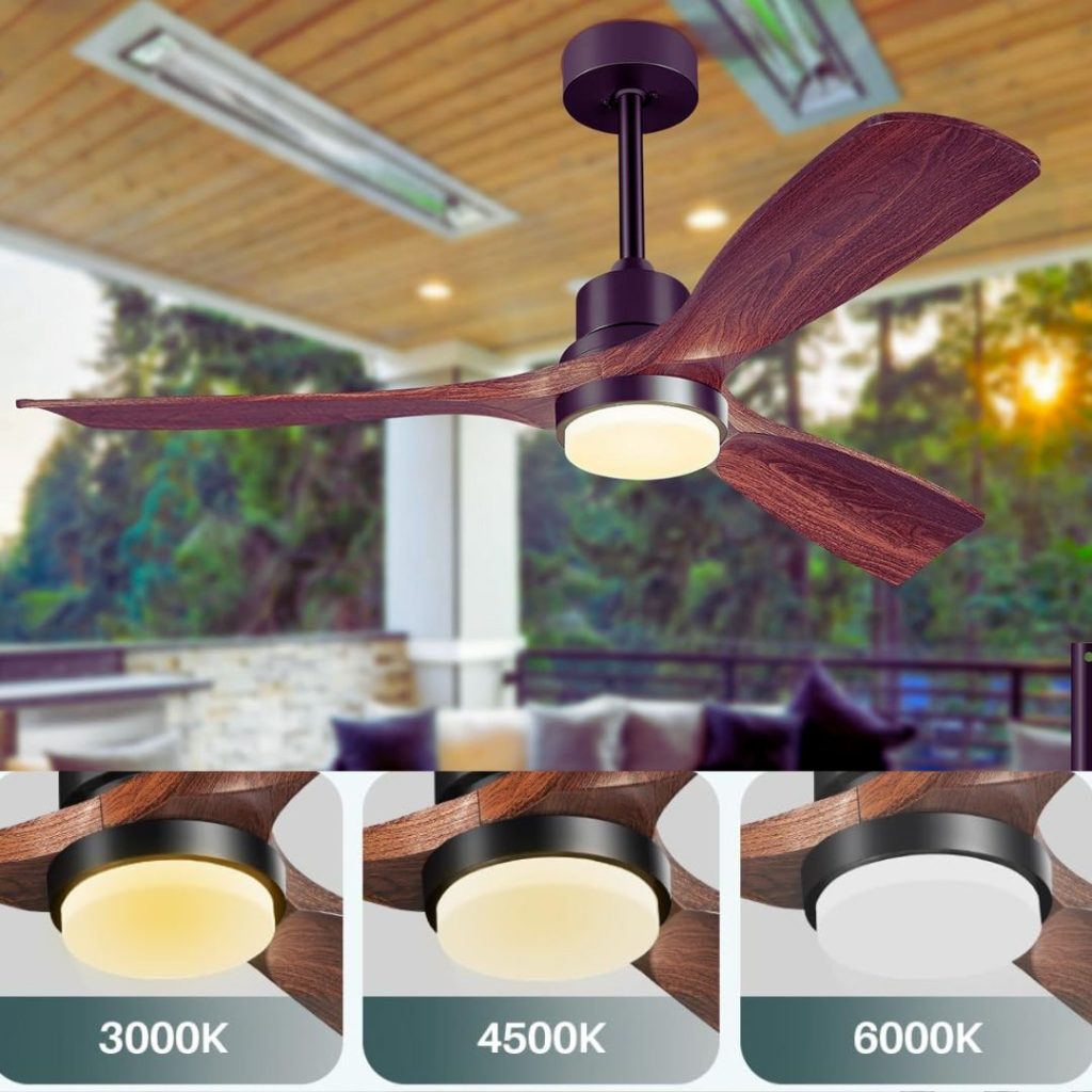 Outdoor Ceiling Fan with Light