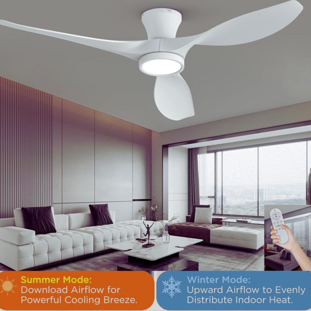 Outdoor Ceiling Fan with Light