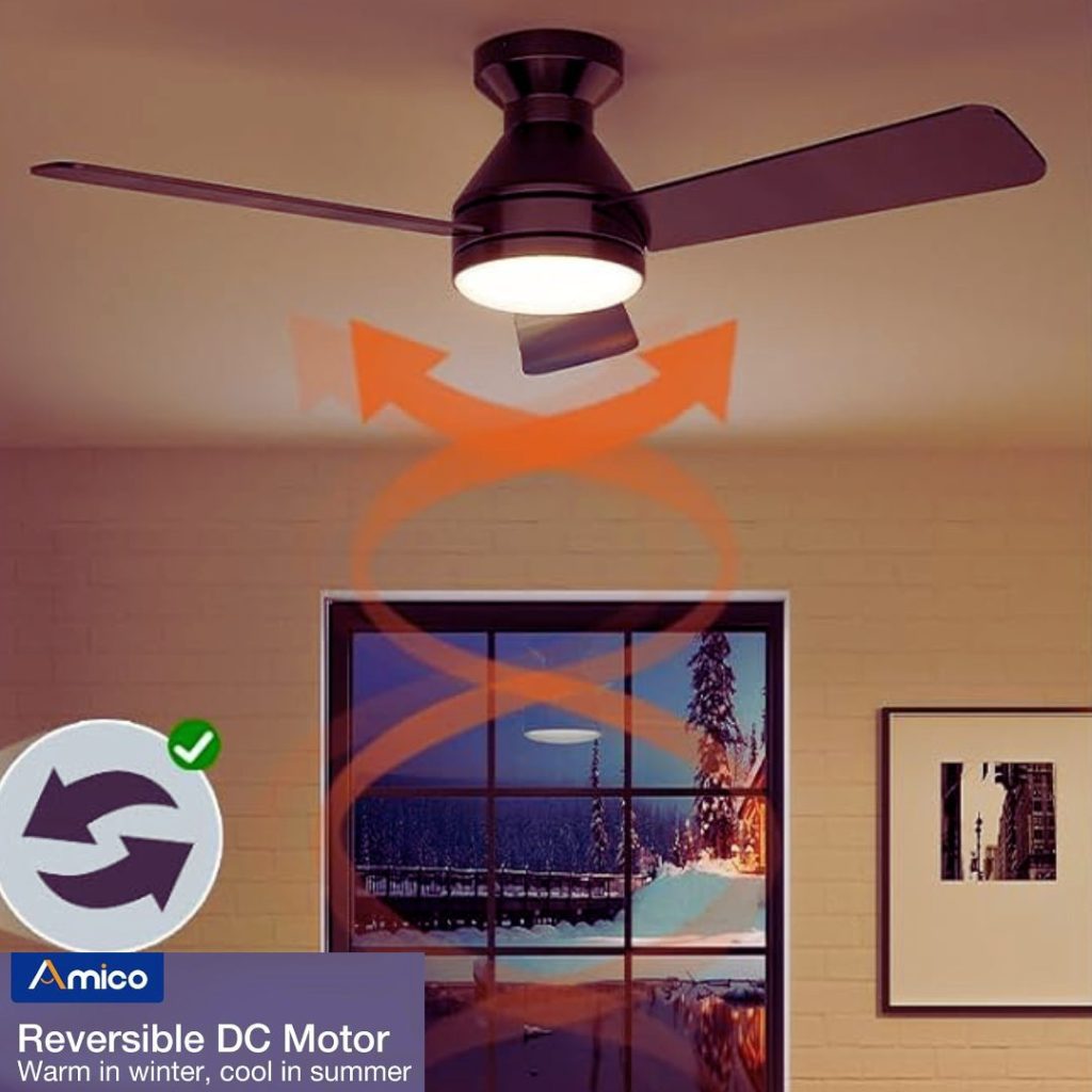 Outdoor Ceiling Fan with Light