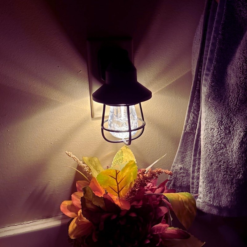 Plug In Wall Lamp Lighting